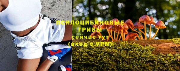 ALPHA-PVP Алексеевка