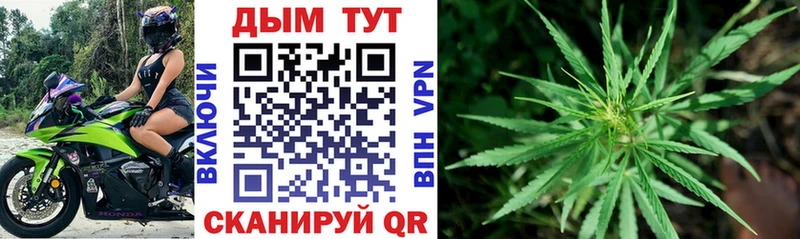 где можно купить   Севастополь  Бошки марихуана семена 